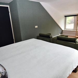 Uitgebreide Kamer met een King Size Bed